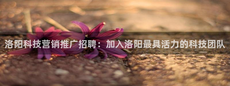 金年会jinnianhui